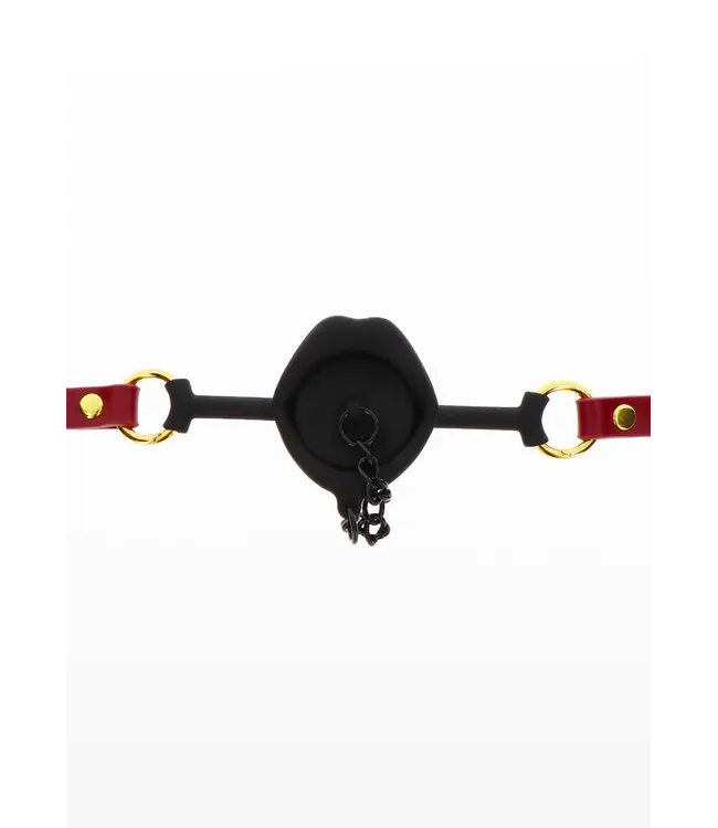 Bondage in luxury - Kinky gag with plug