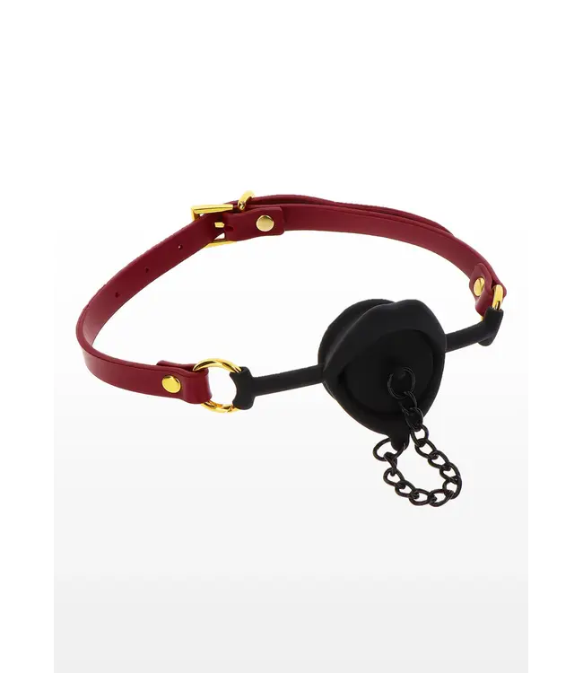 Bondage in luxury - Kinky gag with plug