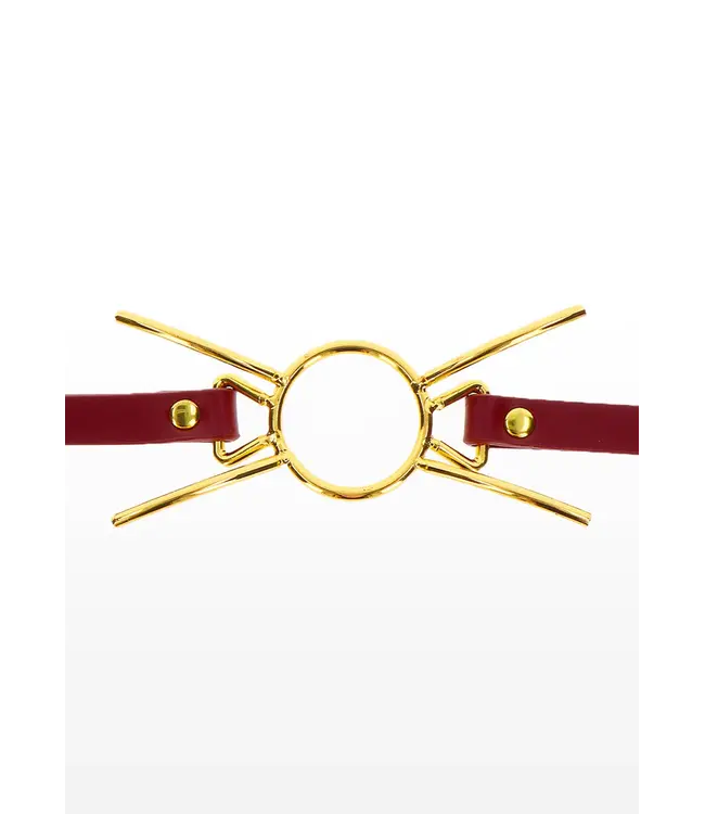 Bondage in luxury - Open mounth spider gag