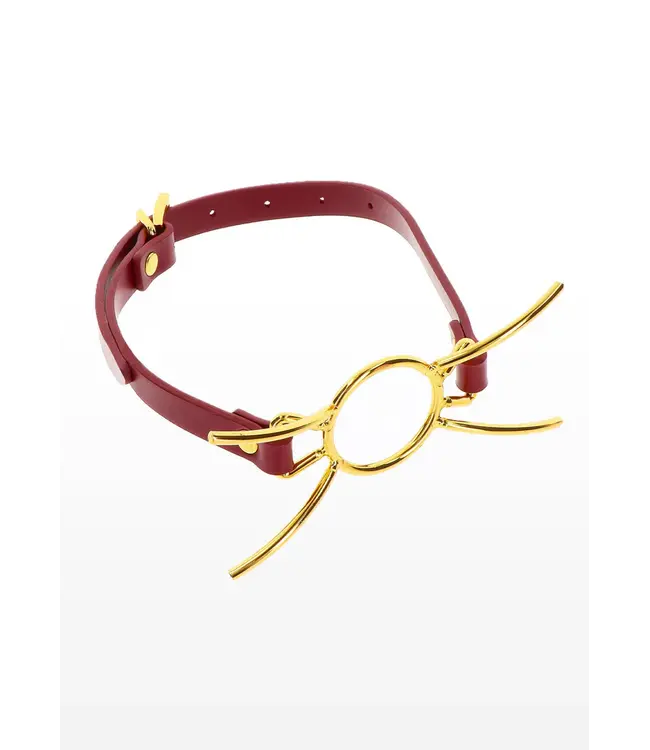 Bondage in luxury - Open mounth spider gag