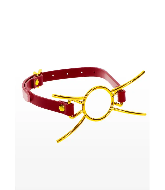 Bondage in luxury - Open mounth spider gag