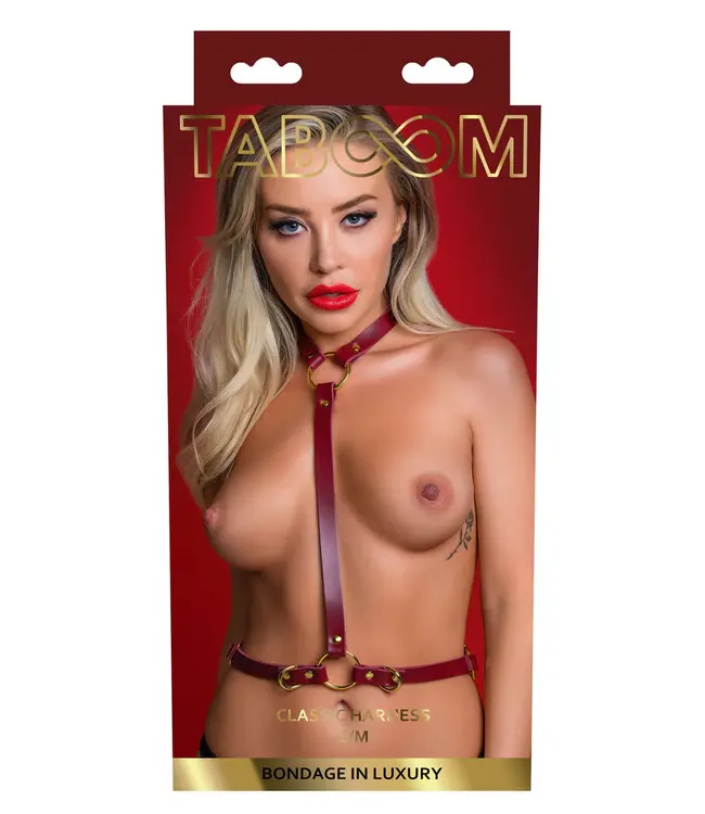 Bondage in luxury - Classic harness