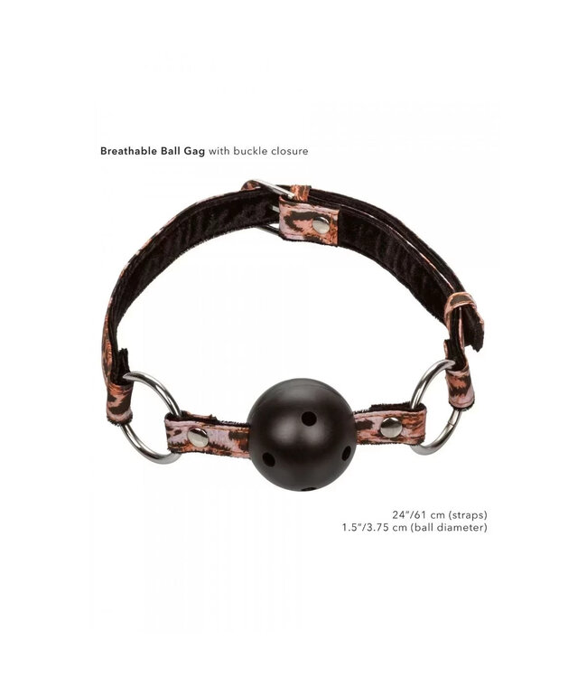 Unleashed Surrender Set – Animal Print