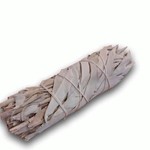 De Verrijking Witte Salie | White Sage | Stick 10cm