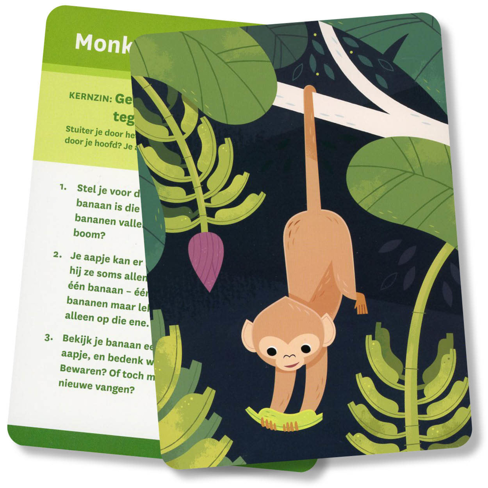 Koppenhol Uitgeverij BV Monkey Mind kaarten set