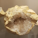 De Verrijking HondenTand Calciet M