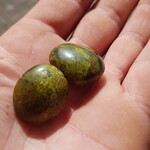 De Verrijking Groene Opaal Knuffelsteen S