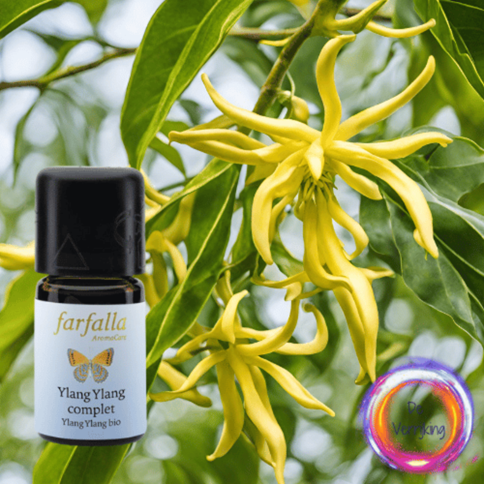 Farfalla Aromacare Ylang Ylang | Bio Compleet 5ml Farfalla