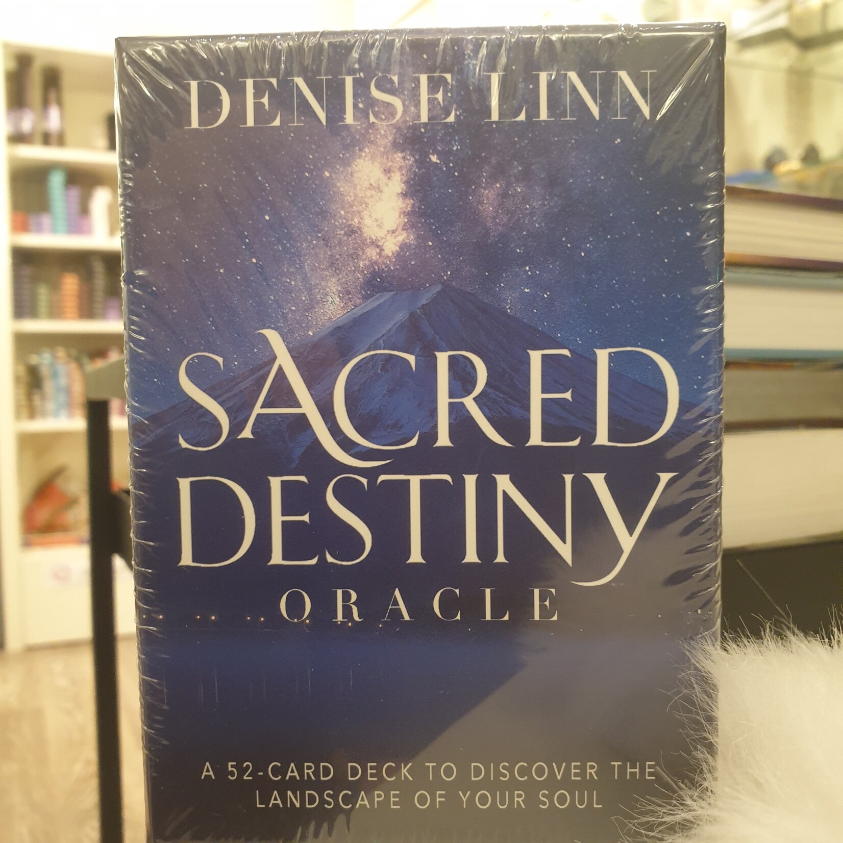 Hay House Sacred Destiny | Oracle Cards