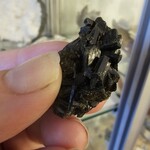 De Verrijking Epidoot Ruw L