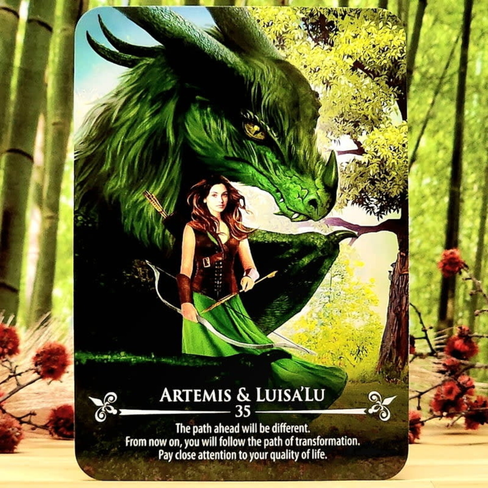 Earthdancer The Dragon Riders Oracle by C. A. Fader | Orakelkaarten | Eng