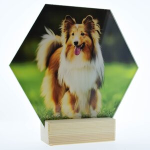 Acryl hexagon fotopaneel op staander Gepersonaliseerd
