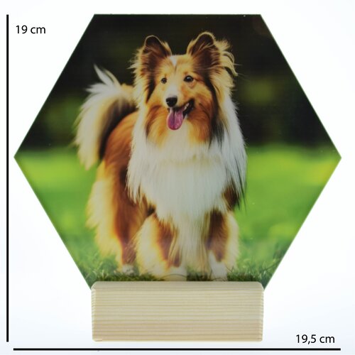 Acryl hexagon fotopaneel op staander Gepersonaliseerd