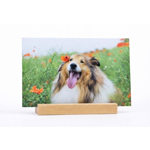 Gepersonaliseerde foto op aluminium met houten staander