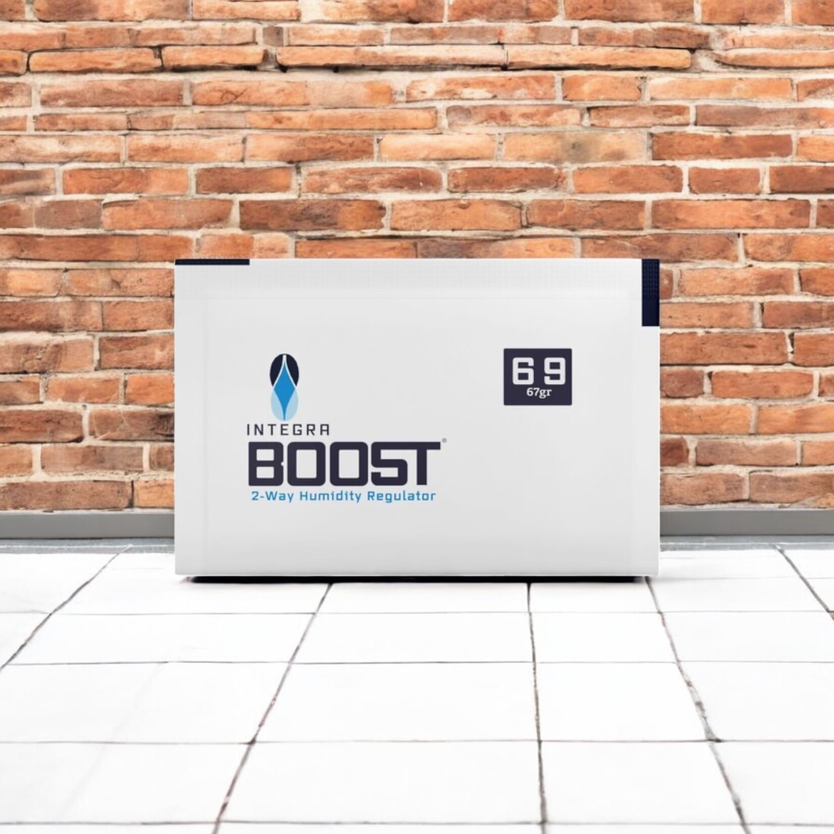 HEATEX PRODUCTS INTEGRA BOOST INTEGRA BOOST 67 GRS 69% BULK