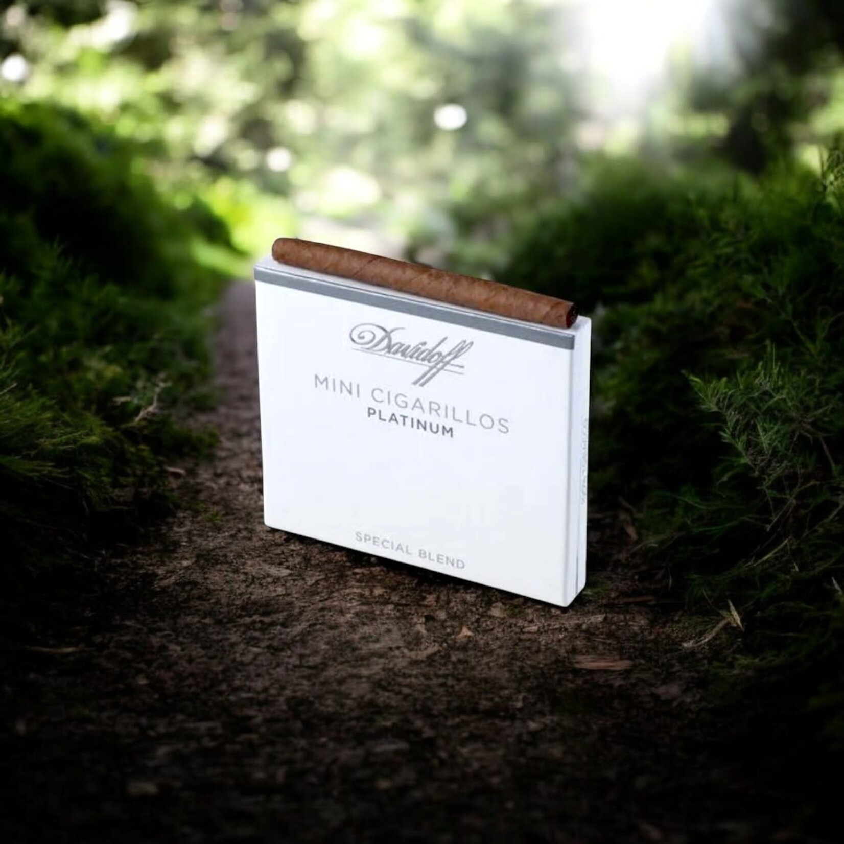 DAVIDOFF DAVIDOFF MINI CIGARILLOS PLATINUM  /10