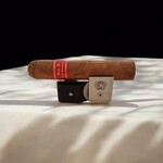PARTAGAS PARTAGAS SERIE D NO.5