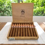 PUNCH PUNCH GRAN ROBUSTO ER ESPANA / 10
