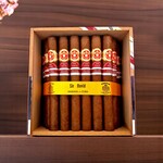 PUNCH PUNCH SIR DAVID ER HONG KONG  2018 - CAB 50'S