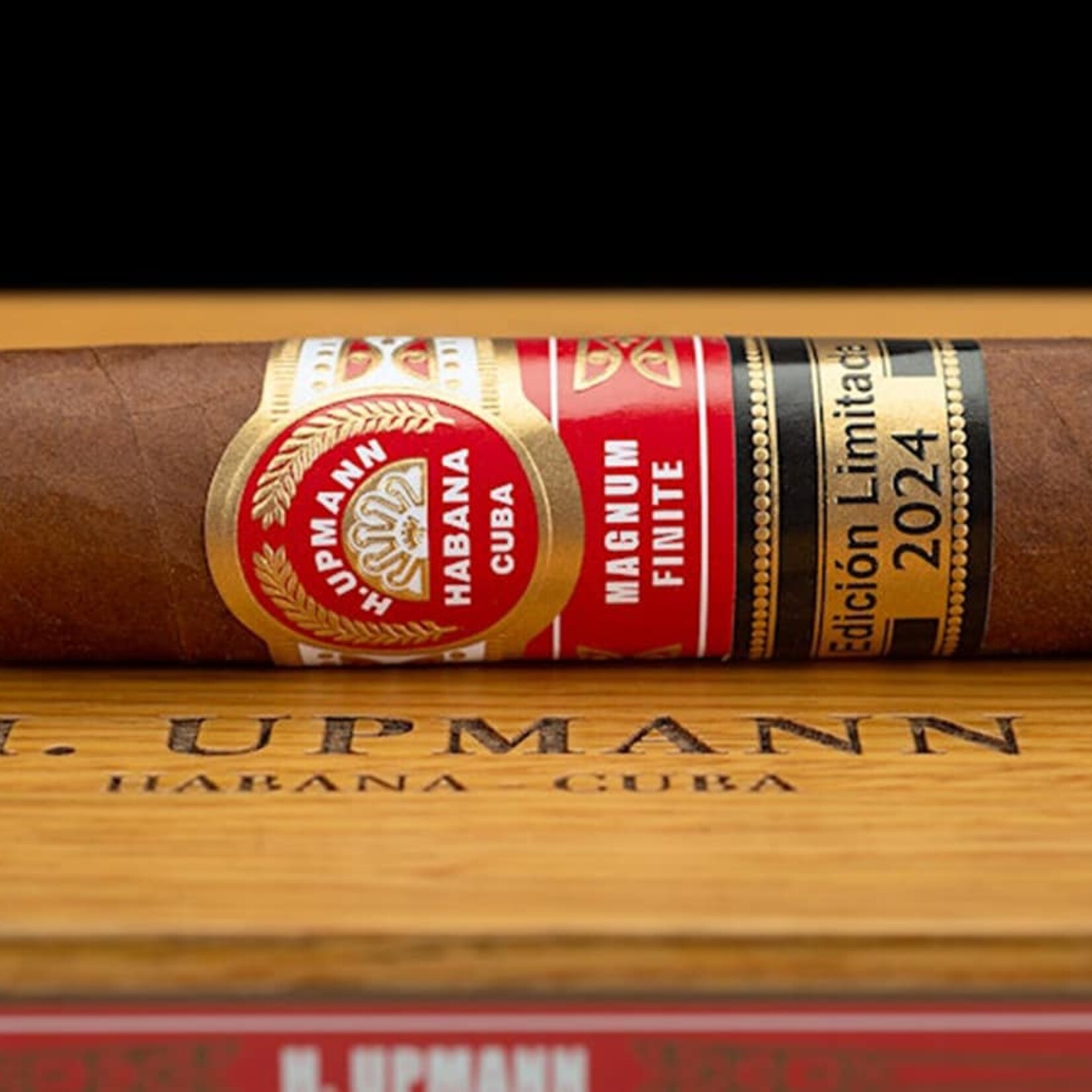 H. UPMANN H. UPMANN MAGNUM FINITE EL 2024 - PER STICK