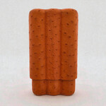 POROSUS POROSUS 2 STICKS OSTRICH TANGERINE WOODY