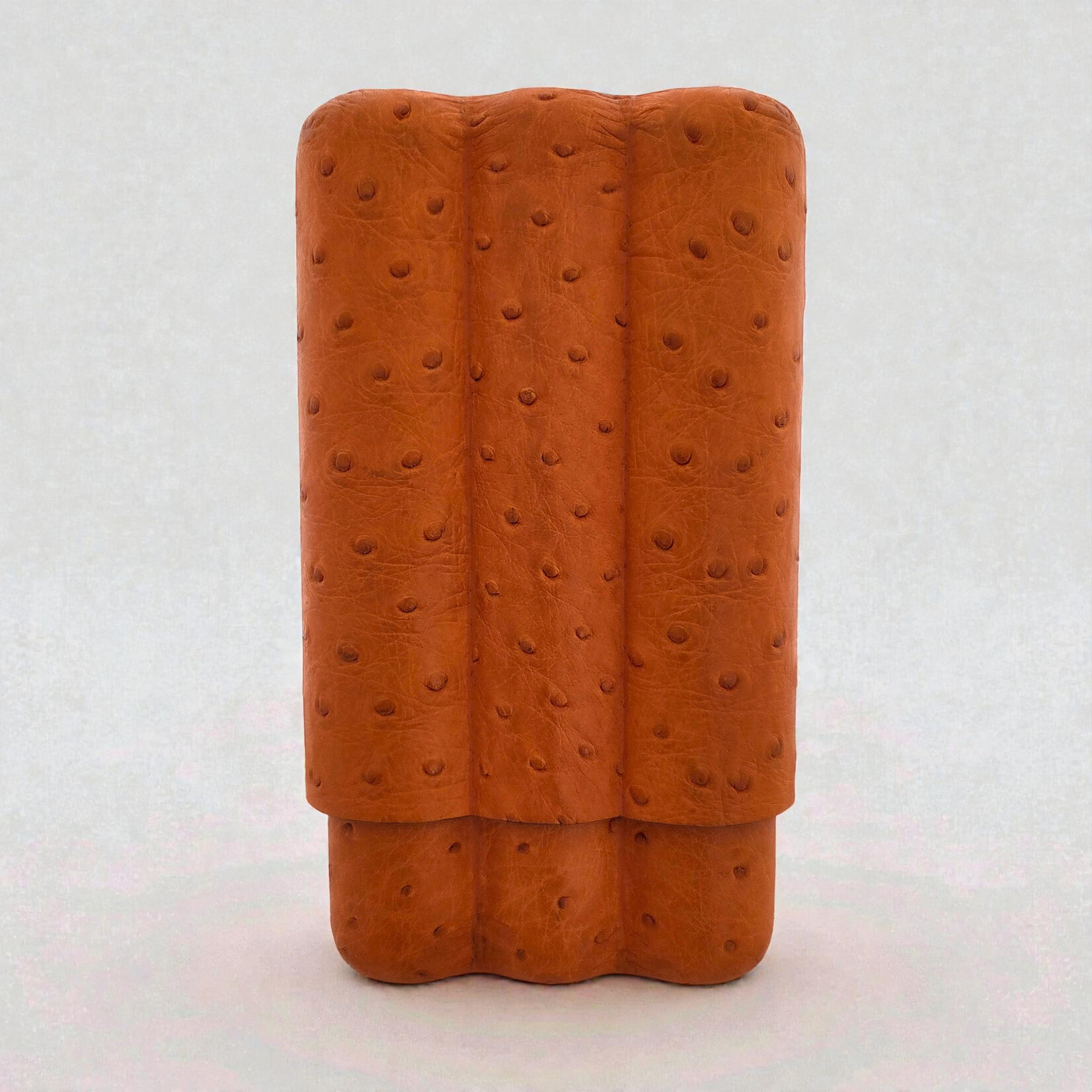 POROSUS POROSUS 3 STICKS OSTRICH TANGERINE WOODY