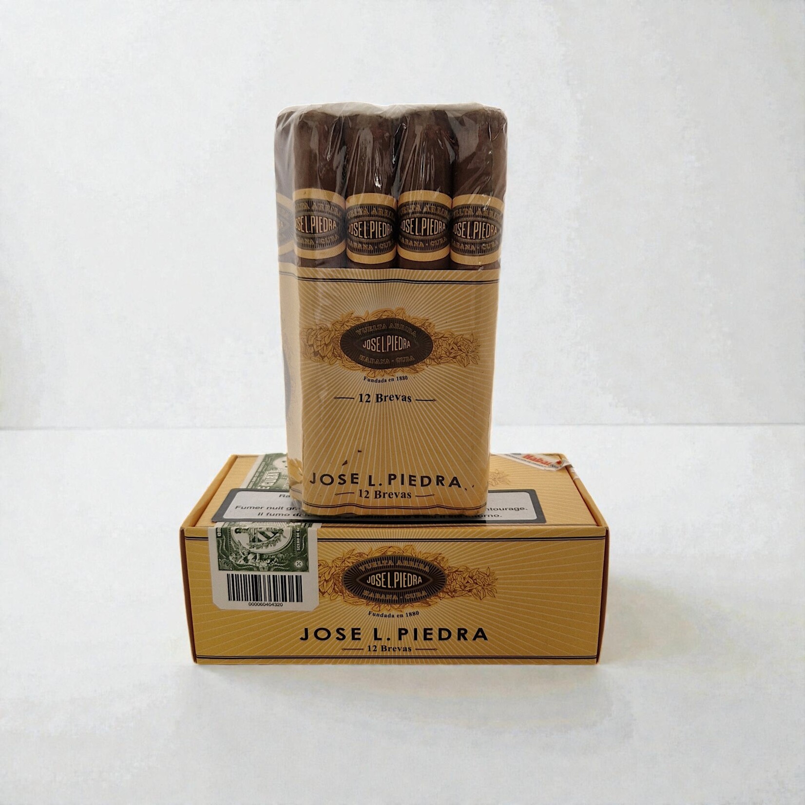 JOSE L PIEDRA Copy of JOSE L. PIEDRA BREVAS STICK