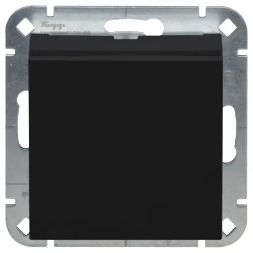 Kopp hotelkaart schakelaar verlicht HK07 zwart mat (492350001)