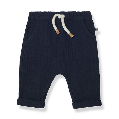 1 + in the family Gabi Pants Blue-Notte