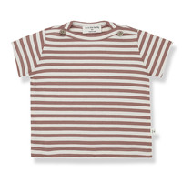 Ken Short sleeve T-shirt Cedar