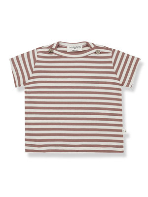 1 + in the family Ken Short sleeve T-shirt Cedar