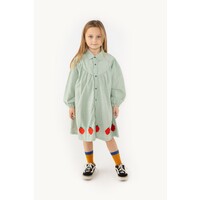 Raspberries Dress Green Check