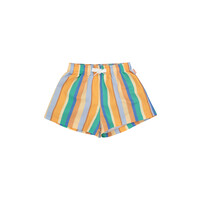 Multicolor Stripes Trunks