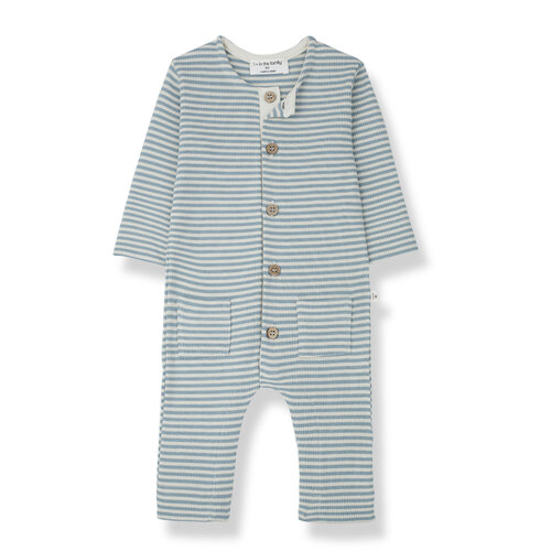 1 + in the family Renato Jumpsuit Shark