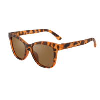 Iconic Wayfarer Ombre Tortoise
