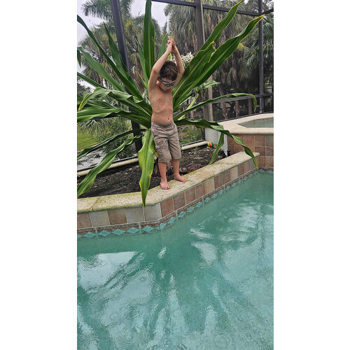 Grech & Co Zwembril in blauw Grech & Co Zwembril in blauw