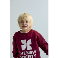 TNS Logo Sweatshirt Plum Fantasy