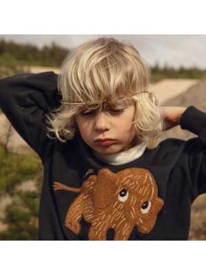 Mini Rodini Mammoth Chenille Sweatshirt Black