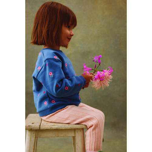 Louise Misha Blauwe sweater met broduurwerk Louise Misha Blauwe sweater met broduurwerk