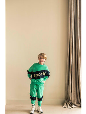 JENEST Sammy Sports Sweater Fresh Green