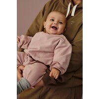 Baby dropped Shoulder Sweater Berry
