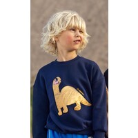 Dino Application Sweatshirt