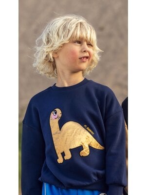 Mini Rodini Dino Application Sweatshirt