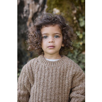 Knitted Sweater Ancestral