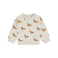Dog All Over Printed Sweatshirt Dachshund
