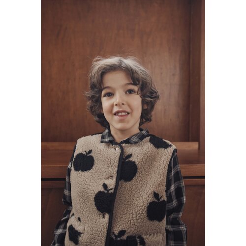 Emile & ida Bruine gilet met appeltjes