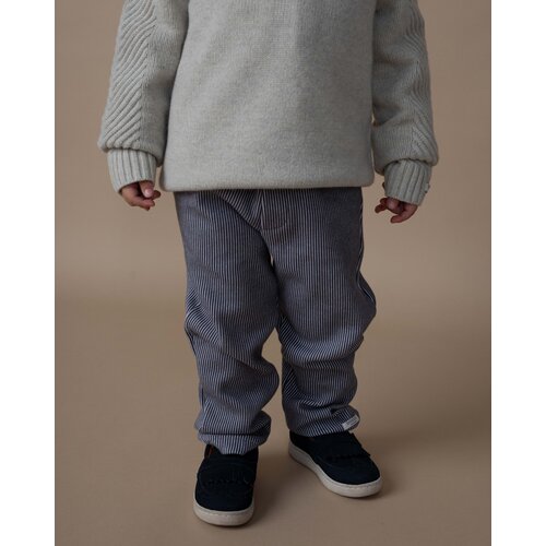 Donsje Grijs gestreepte broek
