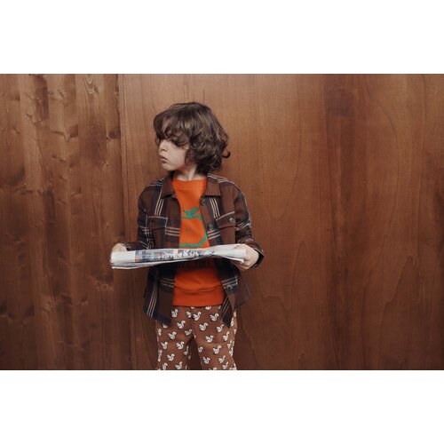 Emile & ida Shirt in bruine ruit Emile & ida Shirt in bruine ruit