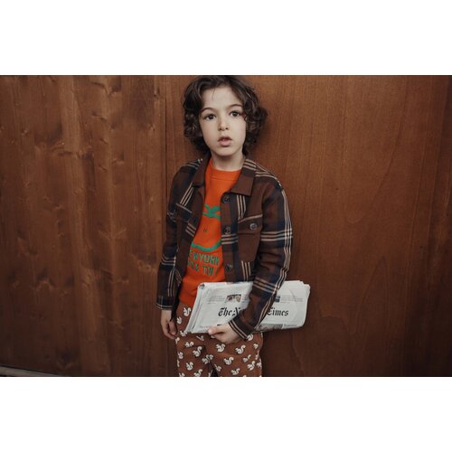 Emile & ida Shirt in bruine ruit Emile & ida Shirt in bruine ruit