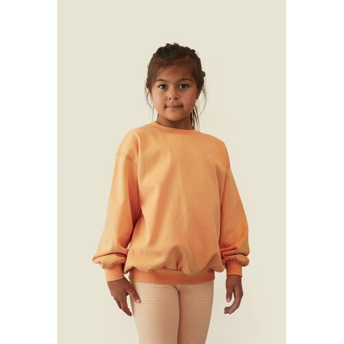 Gray label Sweater lange mouw oranje geel